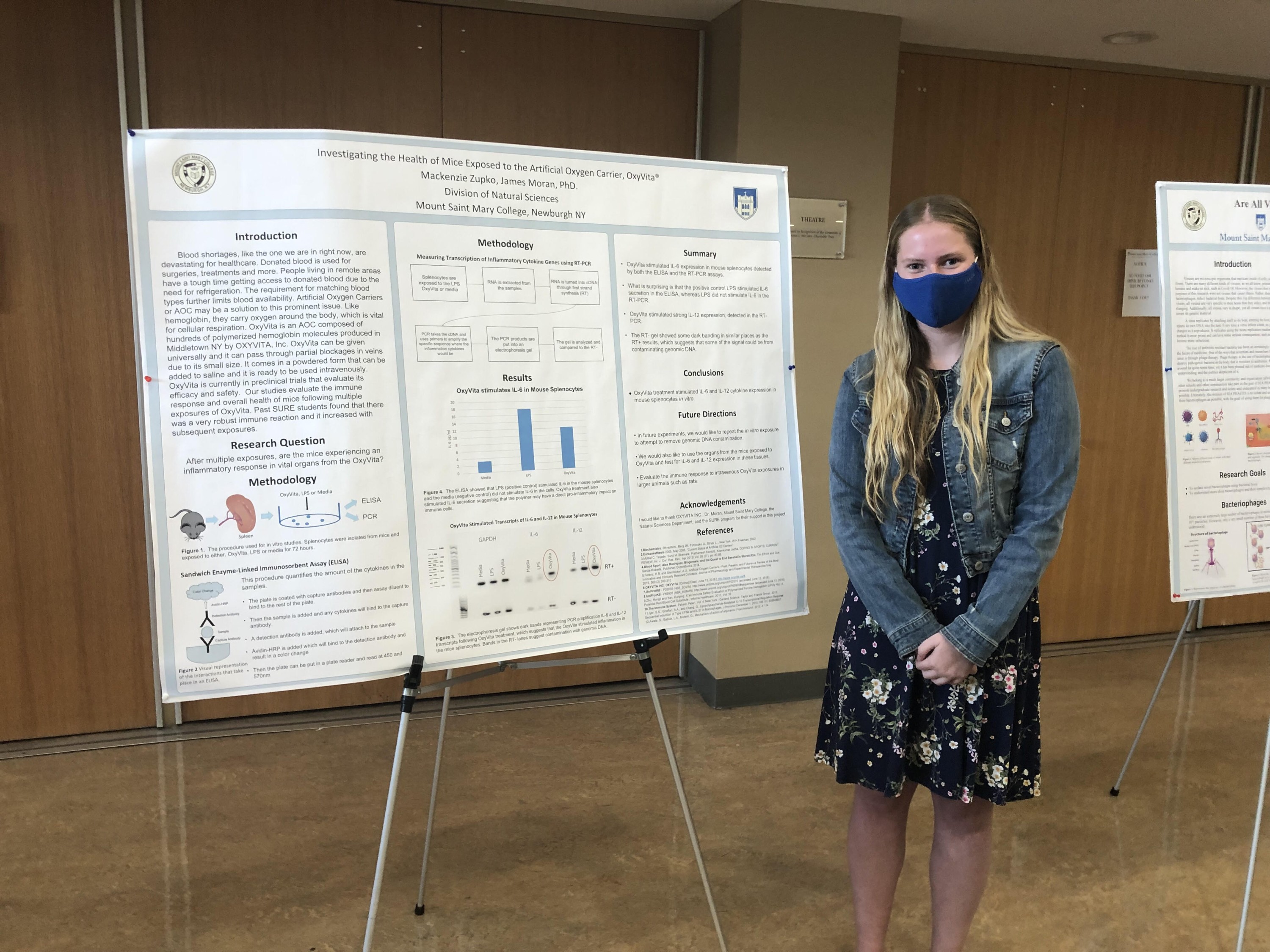 SURE Feels Like Summer: Mackenzie Zupko | Mount Saint Mary College