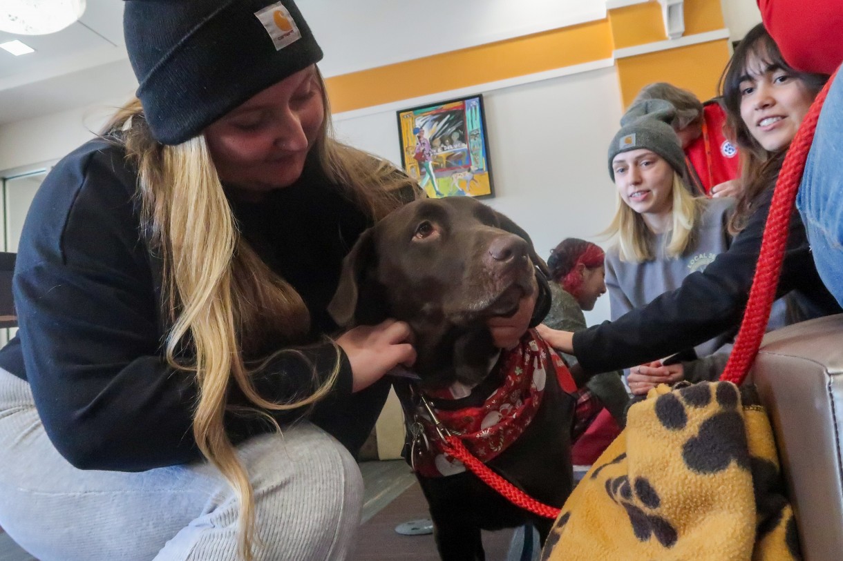 Therapy dogs give Mount students a chance to ‘paws’ and relax Mount Saint Mary College
