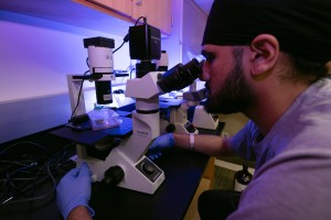 Mount Saint Mary College biology student Parmveer Singh of Middletown, N.Y. studies a specimen through a microscope.