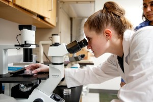 Woman looks in microscope at Mount Saint Mary College.