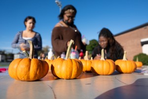 A line of freshly picked mini pumpkins awaits decorators in the autumn afternoon sun as students look on during Mount Saint Mary College's “Paint the Pumpkin Pink” awareness event.