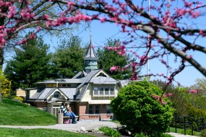 Alt: Mount Saint Mary College.