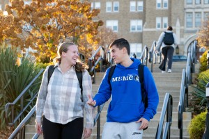 Mount Saint Mary College