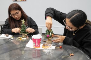 Mount Saint Mary College