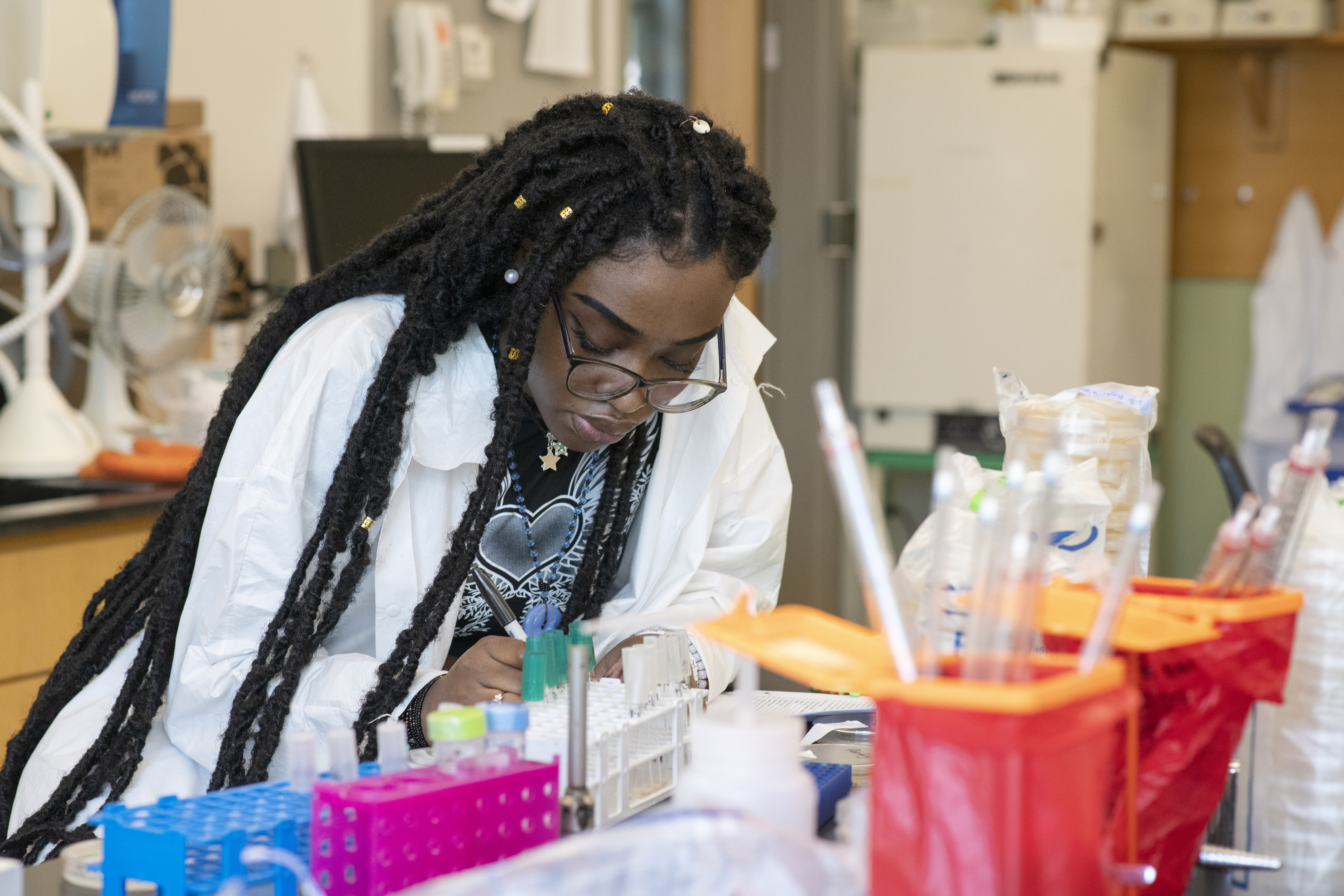 Summer studies revealed: Students to present original research at the ...