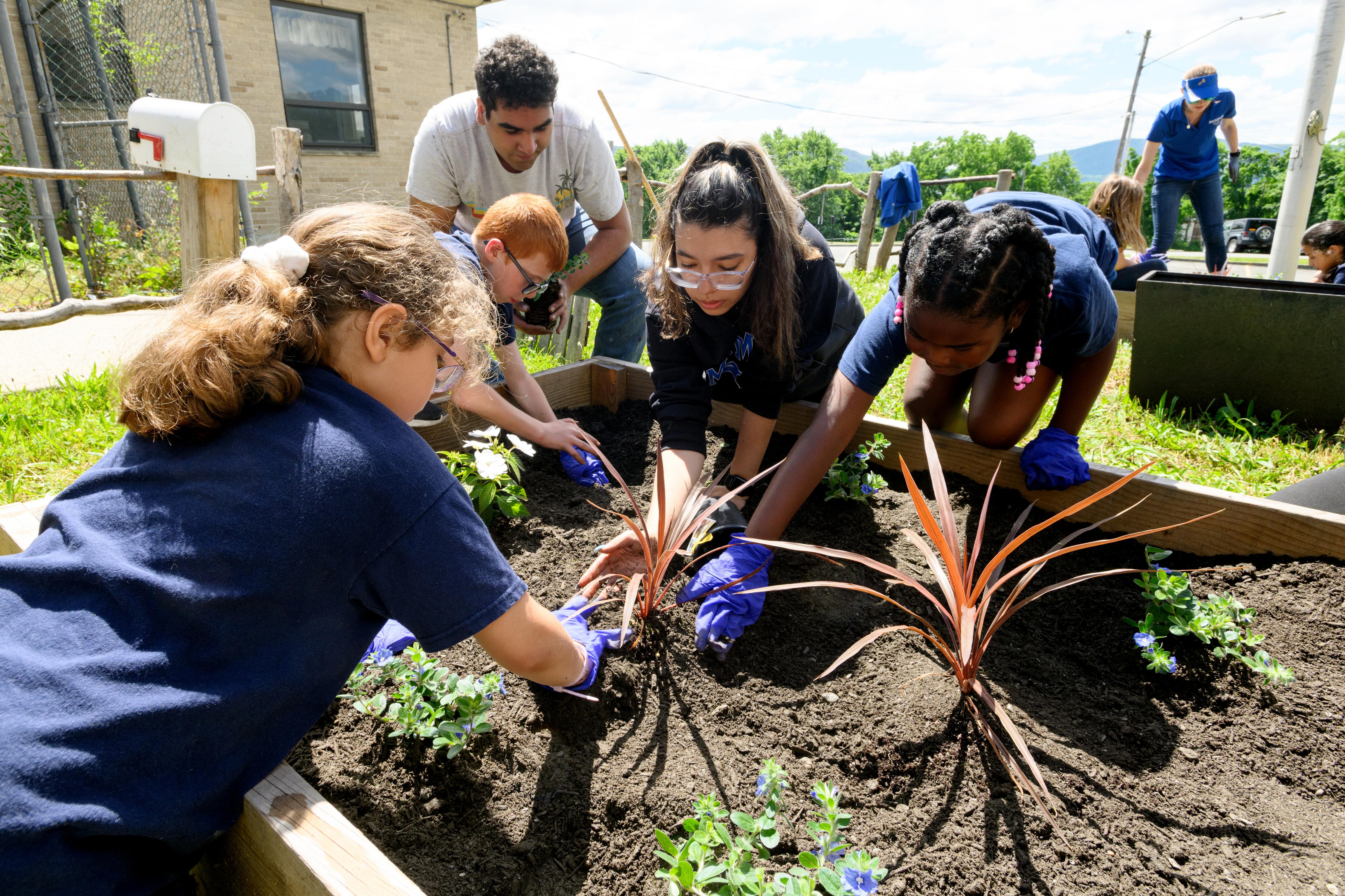 Summer studies revealed: Students to present original research at the ...