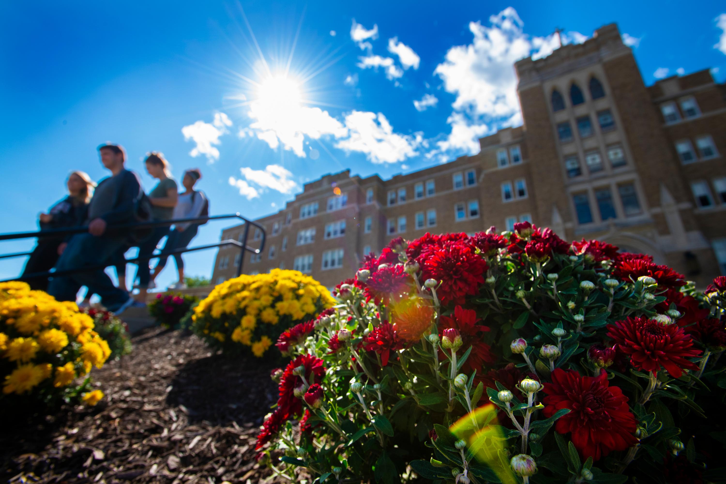Undergraduate Admissions | Mount Saint Mary College