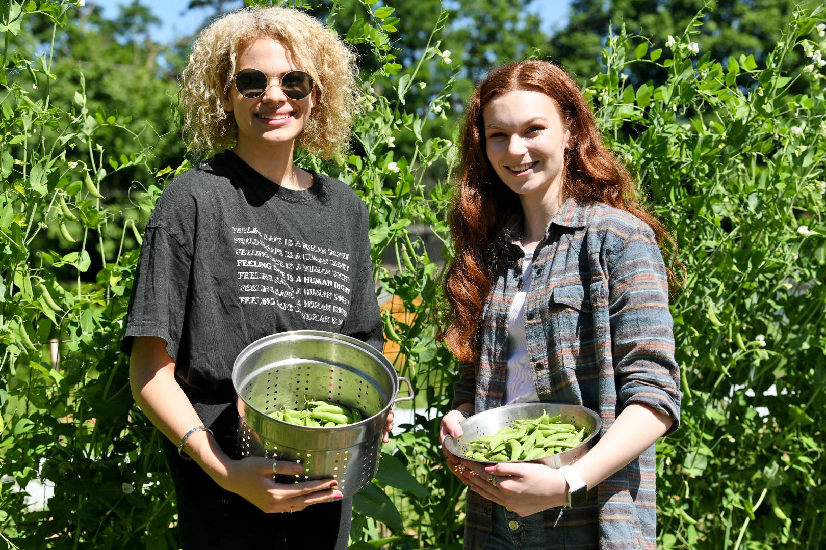 SURE | Mount Saint Mary College