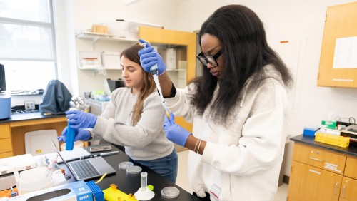 Image of a students in the Biology lab.