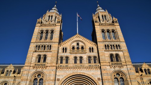 Natural History Museum, Kensington