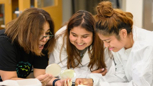 Professor and two students in lab examine petri dishes at a science lab table.